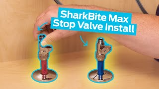 How to Install a SharkBite Max Stop Valve [upl. by Johppa]