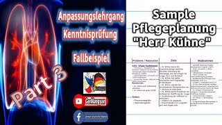 Der Pflegeprozess u Die Pflegeplanung Anerkennung Taglish [upl. by Doley]