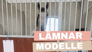 Lämnar bort Modelle  mår skit  VLOGG [upl. by Kara-Lynn]