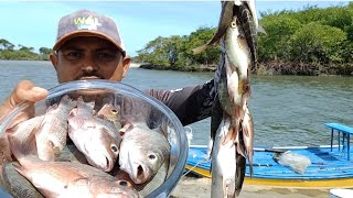 PESCARIA RAIZ DE CARAPITANGA NOS BARRANCOS [upl. by Klinger]