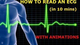 HOW TO READ AN ECG WITH ANIMATIONSin 10 mins [upl. by Siubhan]