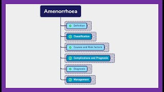 AMENORRHEA  Symptoms diagnosis treatment [upl. by Atnauqahs661]