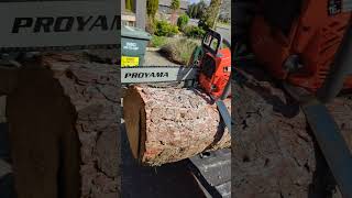 Proyama PCS68 Chainsaw Review [upl. by Keithley175]