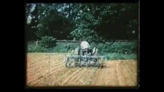 The Massey Ferguson Archive Series  Volume 3 the TE20 Takes On The World Trailer for DVD [upl. by Alwin]