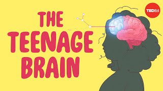 What sex ed doesn’t tell you about your brain  Shannon Odell [upl. by Elana]