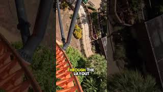 Tigris Busch Gardens On Ride POV DARE TAKE ON THIS TRIPLE LAUNCH COASTER [upl. by Hirschfeld]