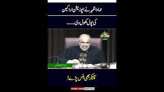 Hammad Azhar Fiery Speech In National Assembly  Imran Khan  Global Times Pakistan [upl. by Friedrick]