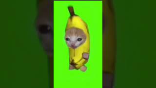 Banana Cat Running Green Screen Crying Banana Cat  Ağlayan ve Koşan Kedi Yeşil Perde [upl. by Ymereg]