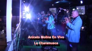 Aniceto Molina La Charamusca y La Cumbia Sampuesana En Vivo [upl. by Kcirrem53]