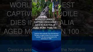 Worlds largest captive crocodile dies in Australia aged more than 100 [upl. by Hitoshi]