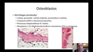 Histologia do tecido ósseo 01  características gerais matriz e células [upl. by Airehs]