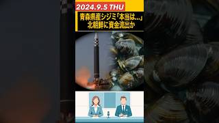 ｢青森産シジミ｣実は北朝鮮産だった 独自ネットワークで資金流出か [upl. by Alley]