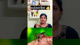 101 Dengue How it Infects dengue Healthy healthylifestyle [upl. by Haskins]