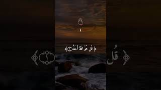 Phella qull قل هو احد [upl. by Tocci]