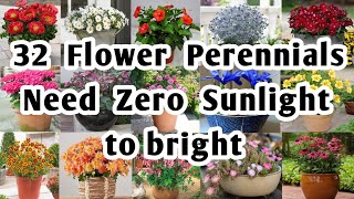 32 Flower Perennials for Garden  Shade Loving Perennial flowers for Backyard  Plant and Planting [upl. by Inej872]