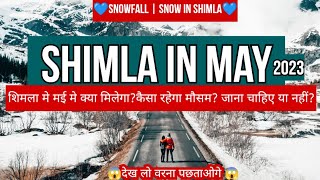 Shimla in may  snowfall  snow in Shimla  hotel  budget  weather [upl. by Vaules]