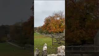 Bribury Cotswold England uk [upl. by Seale663]