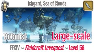 FFXIV Botanist Leves Level 56 Largescale  Ishgard Sea of Clouds  Heavensward [upl. by Sadick]