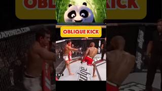 Strategy and Technique of the Oblique Kick Disrupting the Opponents Balance in MMA [upl. by Shawna]