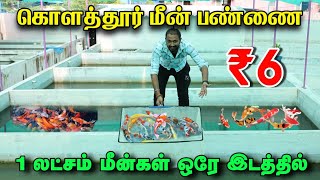 எல்லாமே ஒரே இடத்தில் வாங்கலாம்  ₹6 முதல் Payasam Channel [upl. by Tamarra]