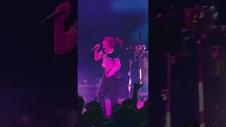 RoseColored Boy  Paramore afterlaughter [upl. by Ethban]