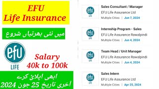 EFU Life Insurance Company Hiring Staff 2024  Intermediate Student Can Easily Apply on This Job [upl. by Anilef]