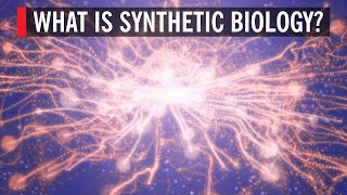 What is Synthetic Biology [upl. by Aihsoj]