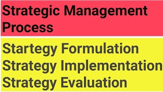 Strategic Management Process in Hindi [upl. by Jemimah599]