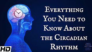 Everything You Need To Know About The Circadian Rythm [upl. by Aidin]