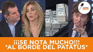 VÍBORA PLAGER QUEDÓ AL BORDE DE UN PATATÚS CON LOS DICHOS DE MILEI quotMÁS KIRCHNERISTA NO SE CONSIGUEquot [upl. by Nelda]