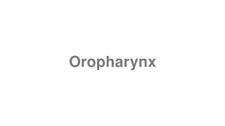 How to Pronounce quotOropharynxquot [upl. by Polish]