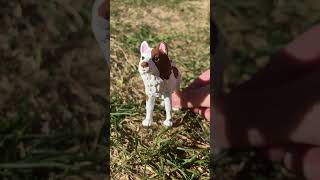 New husky custom schleich schleichdog schleichwolf shorts shortsfeed fyp art [upl. by Ingaberg]