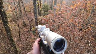 November 2023 muzzleloader season  video of a 7 Point Buck [upl. by Nojid]