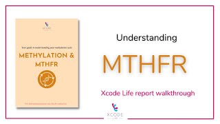 How Does Your MTHFR Gene Variant Influence the Methylation Status [upl. by Xanthe]