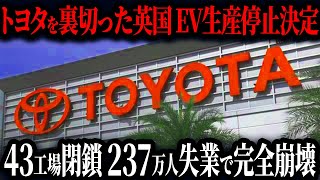 「トヨタが正しかった…」激怒のテスラが中国のEV戦略阻止！中国EVバブル崩壊で中国崩壊へのカウントダウン【ゆっくり解説】 [upl. by Nahgrom]