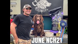 2021 Boykin Spaniel Societys National Retriever Field Trial Novice Champion  June Holland NCH21 [upl. by Kath380]