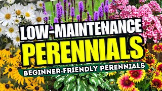 😍 Top 10 LowMaintenance Perennial Flowers ANYONE Can Grow  BeginnerFriendly 🌼💪 [upl. by Reg]