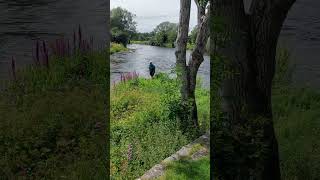 having a bit of lunch at the side of Cockermouth river x [upl. by Elane]