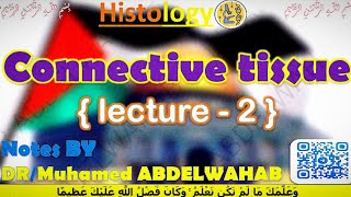 Connective tissue  2  Histology  القصر العيني 198 [upl. by Ayanat220]