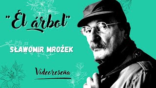 El árbol  Sławomir Mrożek  Mini video reseña [upl. by Eidde]