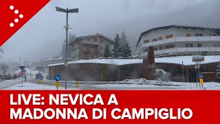 LIVE Nevicata in corso a Madonna di Campiglio diretta video [upl. by Tenney]