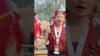 Hornbill festival 2025  Nagaland Hornbill festival 2025hornbilfestival2025nagalandmusafirod08 [upl. by Nerac637]