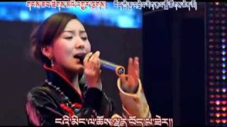 New Tibetan Song Tibetan soul  spirit Tsewang Lhamo [upl. by Annibo215]