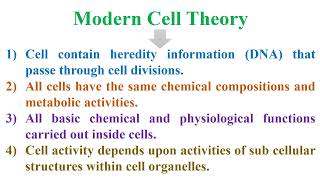 Modern Cell Theory [upl. by Haroppiz]