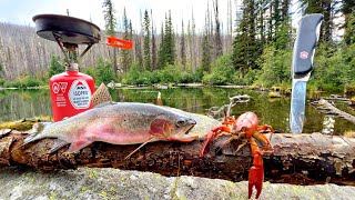 SOLO Mountain Trout Fishing amp WILD Crawfish Boil Catch Cook Camp [upl. by Oringa]