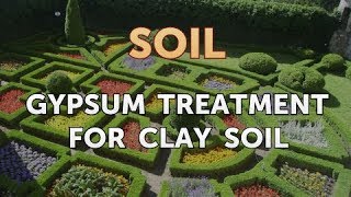 Gypsum Treatment for Clay Soil [upl. by Homans]