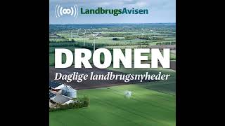 Danske forskere vil erstatte pesticider med myrer [upl. by William]