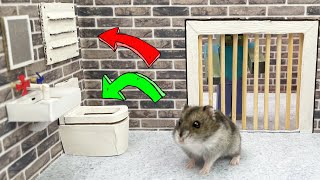 🐹Hamster Escapes the Awesome 5Star Luxury Prison Maze with Bathtub🐹 for Pets in real life [upl. by Aioj]