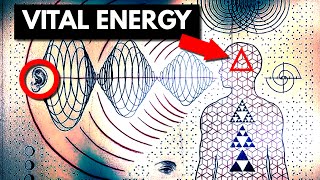 The 12 core aspects within VITAL ENERGY [upl. by Airdnaed]