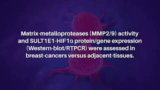 DialylSulfide and TransChalcone Prevent Breast Cancer by Targeting SULT1E1 and HIF1aMMPs [upl. by Arreic]